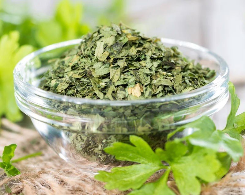 Dehydrated Coriander Leaves