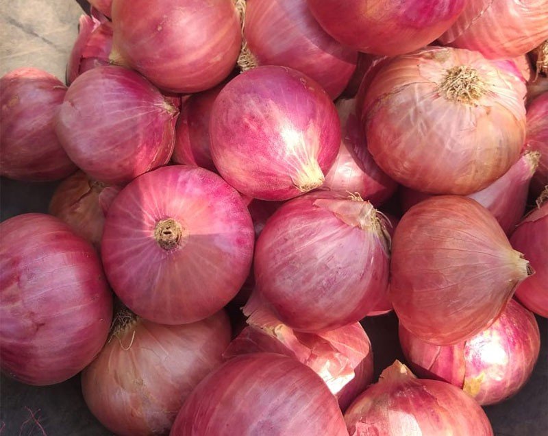 Fresh Pink Onion